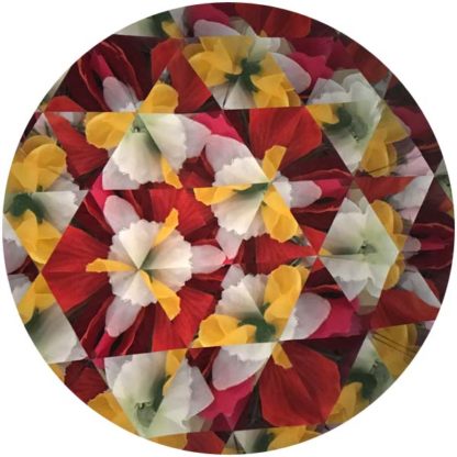 Carousel Teleidoscope Small - Image 4