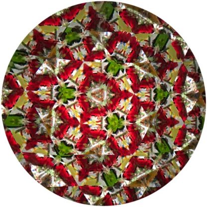 Handheld Single Wheel - Image 3